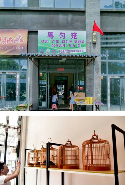 陽明花鳥文旅城鳥具業態區黃金旺鋪 邀您共享商機 錢 景